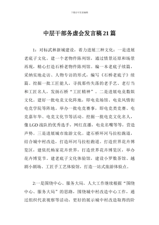 中层干部务虚会发言稿21篇