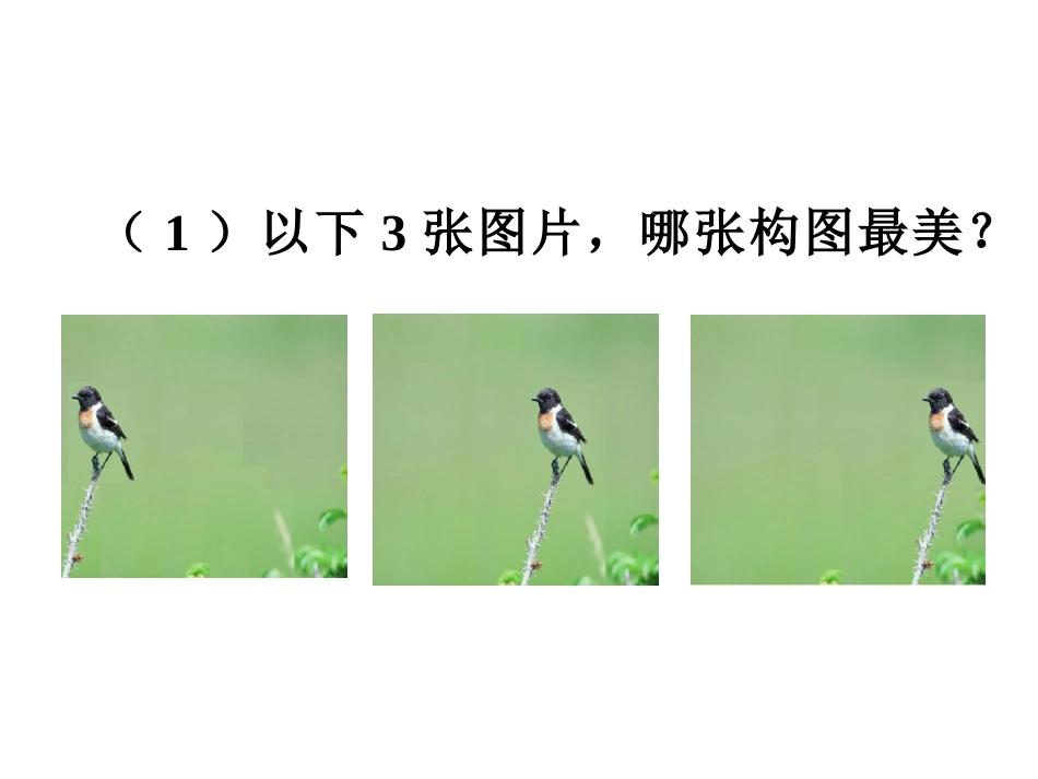 42黄金分割_第2页