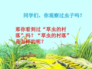 3《草虫的村落》课件改