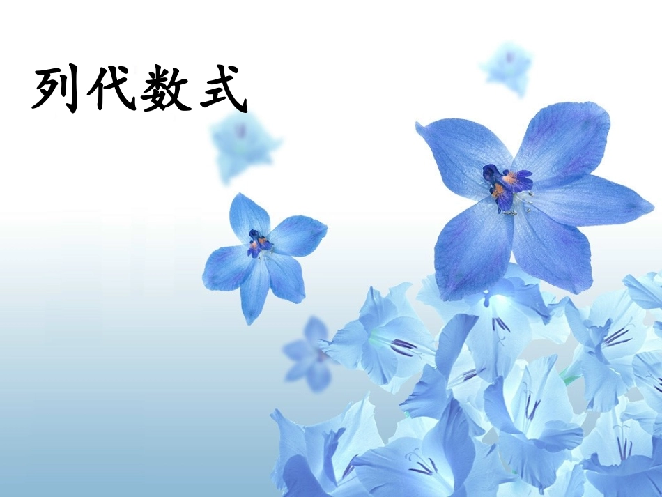 22列代数式_第2页