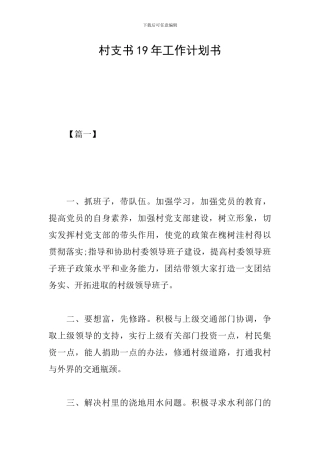 村支书19年工作计划书