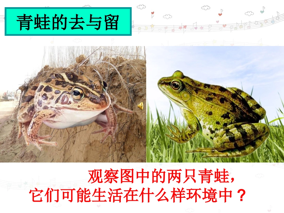 谁选择了它们_第3页