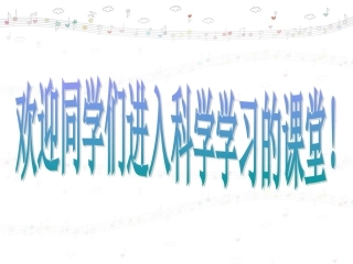谁选择了它们