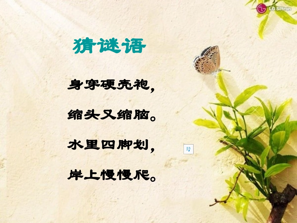 《想飞的乌龟》_第2页