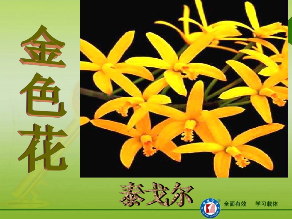 4《金色花》课件(2)_第2页