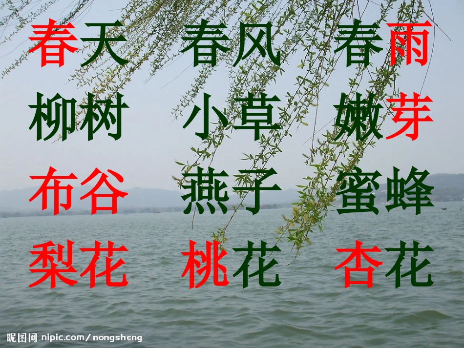 苏教版一年级语文下册识字1课件_第2页