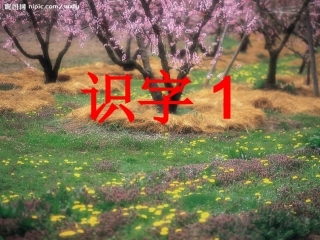 苏教版一年级语文下册识字1课件