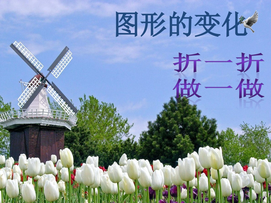 41折一折，做一做12_第1页