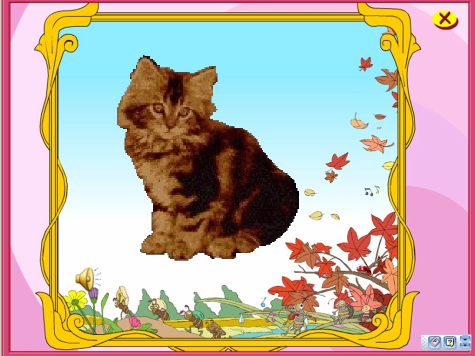 猫教学课件准_第1页