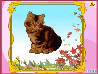 猫教学课件准