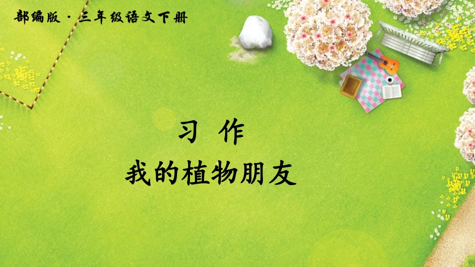 习作我的植物朋友_第1页