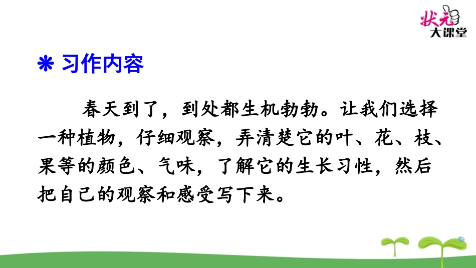 习作我的植物朋友_第2页