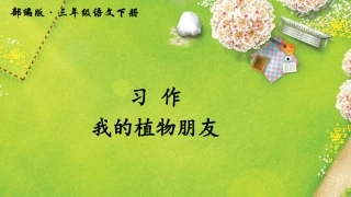 习作我的植物朋友
