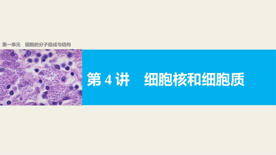 细胞核和细胞质_第1页