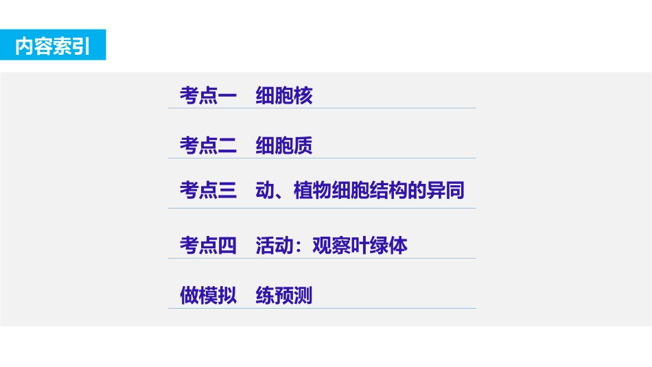 细胞核和细胞质_第3页