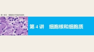 细胞核和细胞质