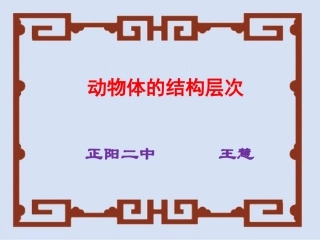 动物体的结构层次