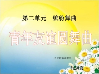 青年友谊圆舞曲课件