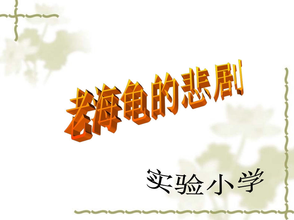 老海龟的悲剧2 (2)_第1页