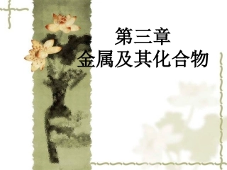 第一节金属的化学性质1