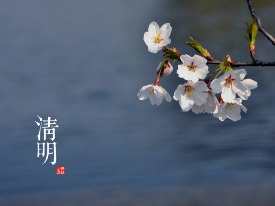 二十四节气之清明_第1页