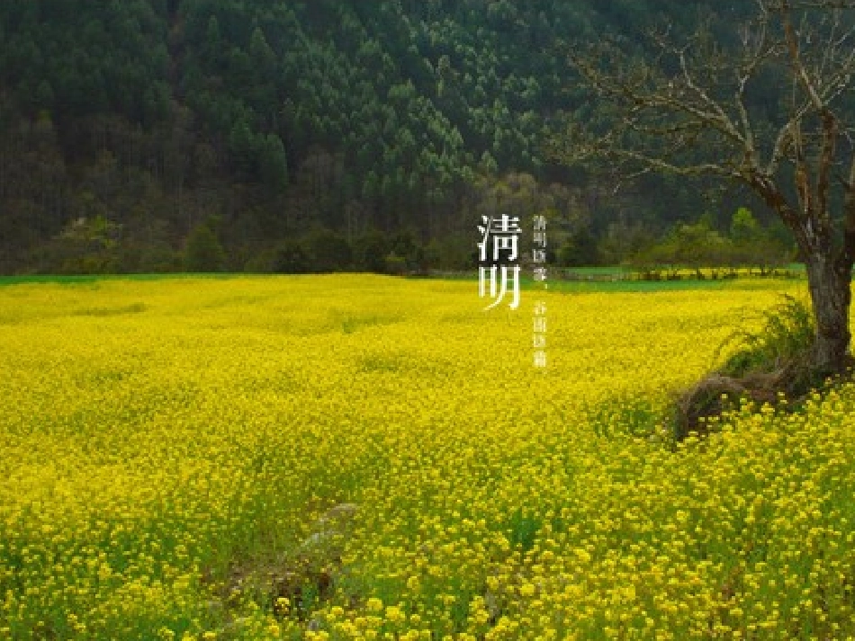 二十四节气之清明_第2页