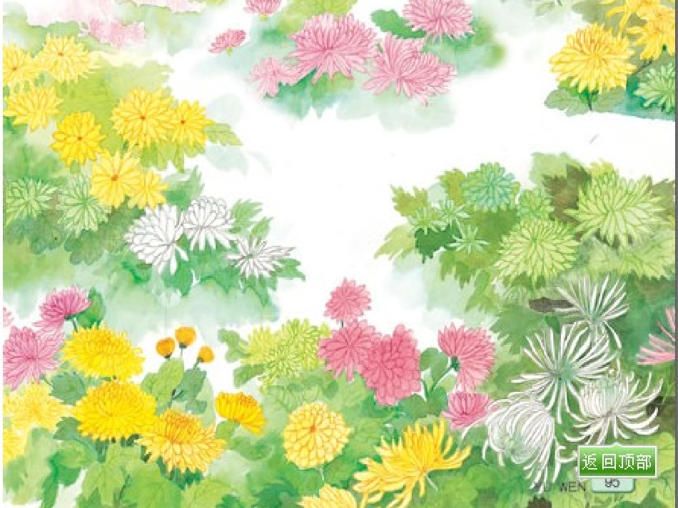 看菊花课件_2_第1页