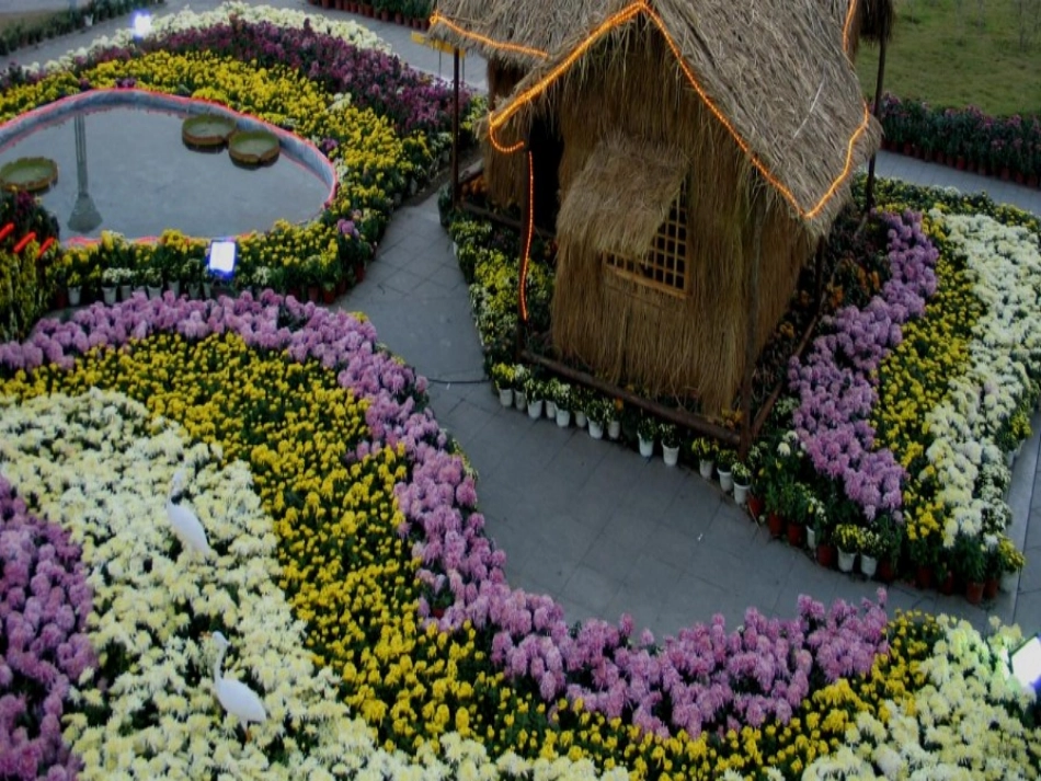 看菊花课件_2_第2页