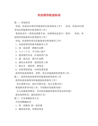 欢迎领导检查标语 