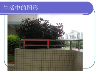 生活中的图形