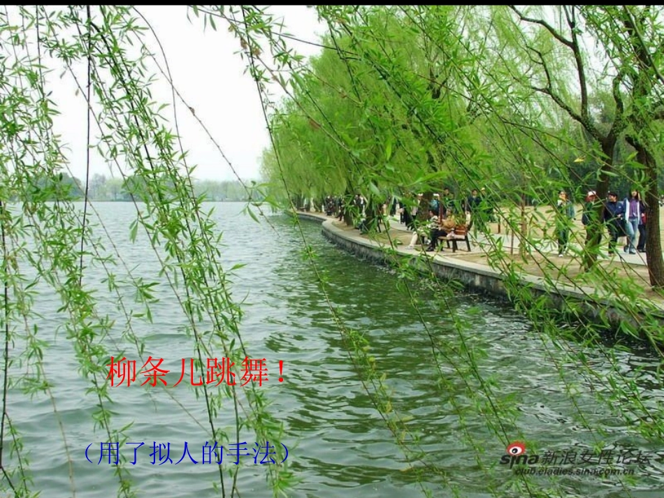 春天在哪里课件_第3页