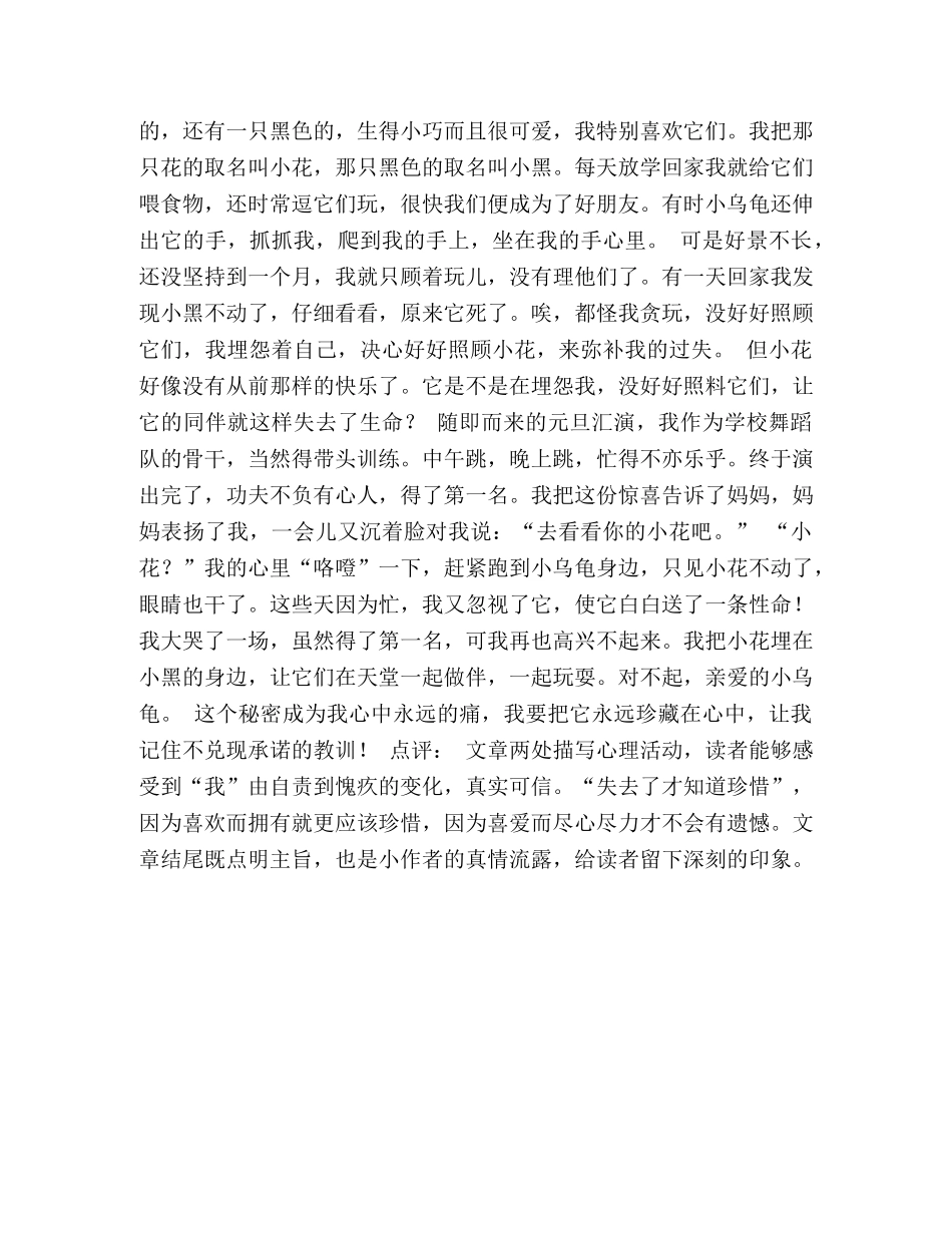 关于我的小秘密的500字作文 _第3页