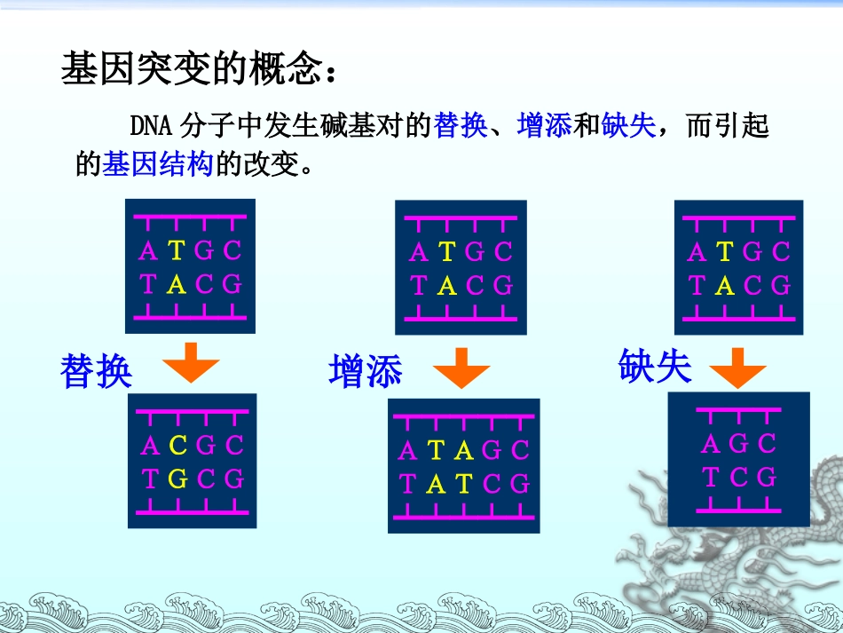第2节染色体变异_第2页