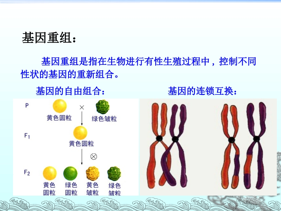 第2节染色体变异_第3页