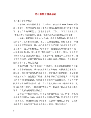 见习期转正自我鉴定2 