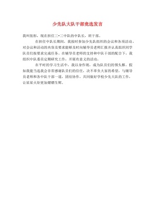 少先队大队干部竞选发言 