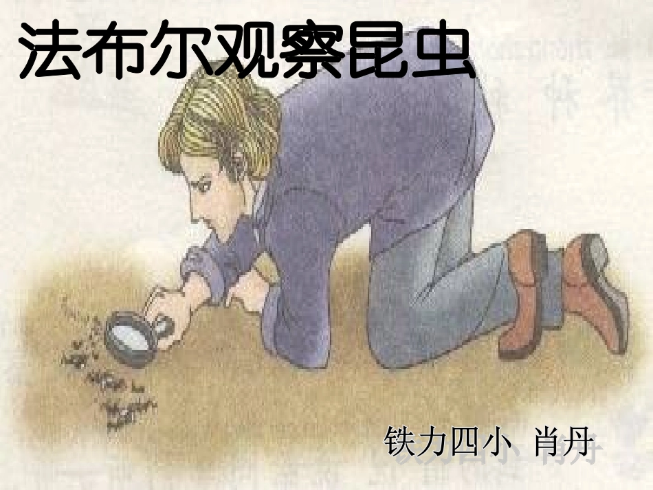 法布尔观察昆虫_1gdkj_第1页