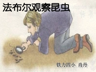法布尔观察昆虫_1gdkj