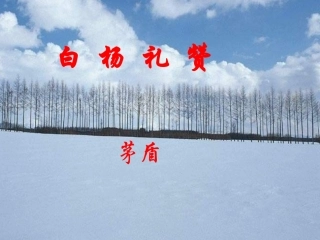 白杨礼赞 (4)