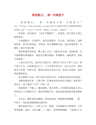 原创散文,第一次割麦子 