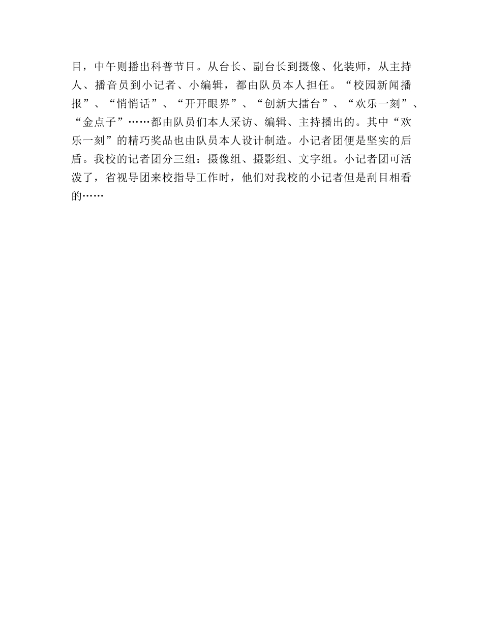 少先队参考总结_0 _第3页