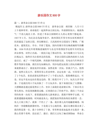 游乐园作文800字 