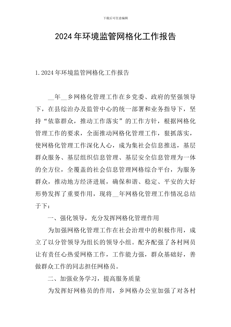 2024年环境监管网格化工作报告_第1页