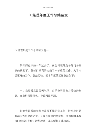 it经理年度工作总结范文