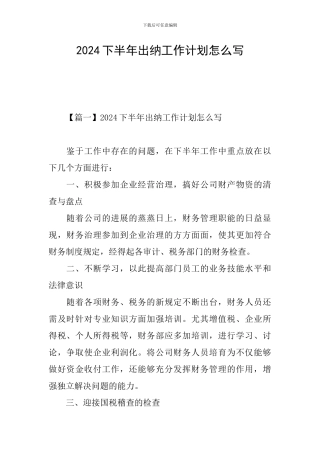 2024下半年出纳工作计划怎么写