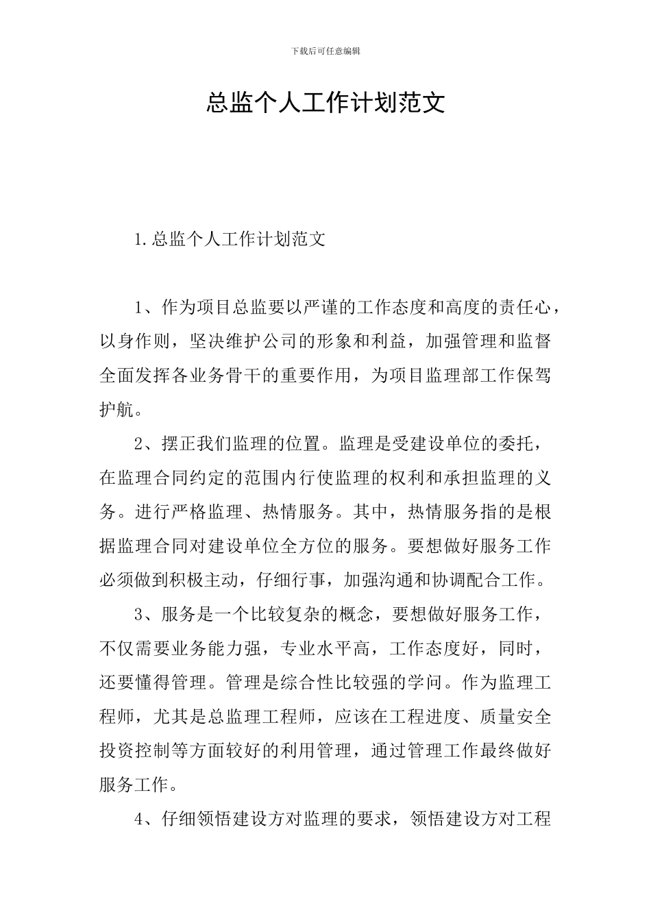 总监个人工作计划范文_第1页