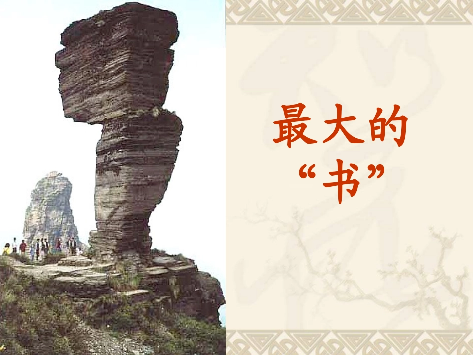 最大的书 (2)_第1页