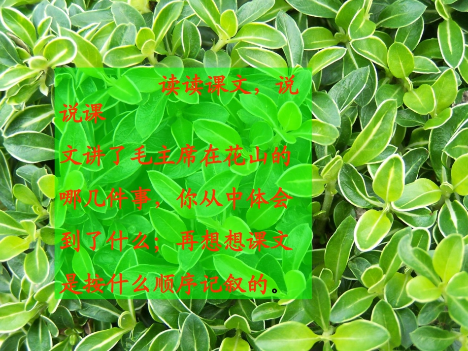 毛主席在花山_第2页