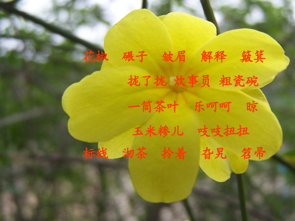 毛主席在花山_第3页