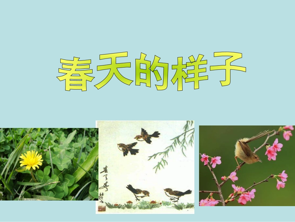 526触摸春天上课课件_第3页